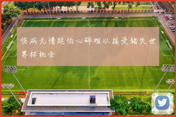 伤病无情廷伯心碎难以接受错失世界杯机会