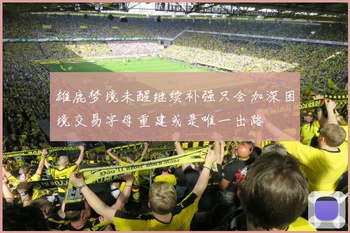 雄鹿梦境未醒继续补强只会加深困境交易字母重建或是唯一出路